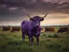🐮💜 ¿Qué tiene que ver una vaca púrpura con mi negocio?
