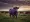 🐮💜 ¿Qué tiene que ver una vaca púrpura con mi negocio?
